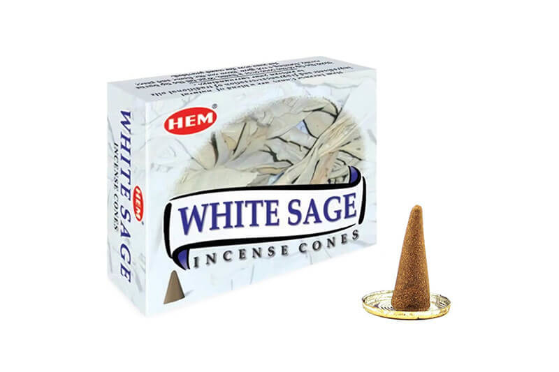 Beyaz Adaçayı Cones