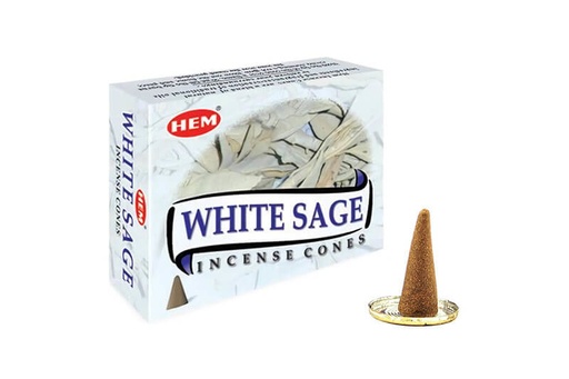 [TC028] White Sage Cones